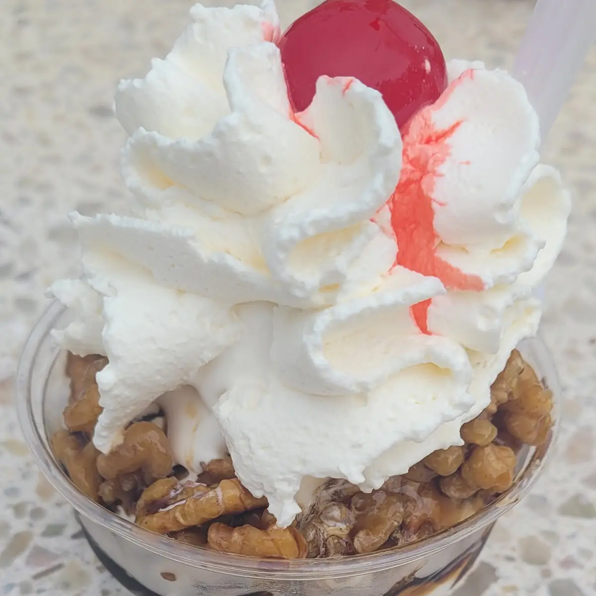 Vanilla Ice Cream with Wet Nuts