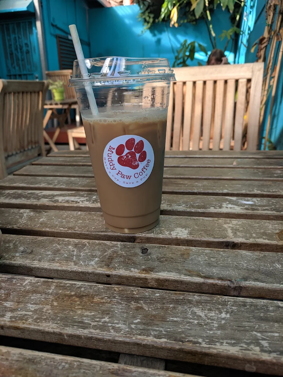 Cold Brew Iced Coffee