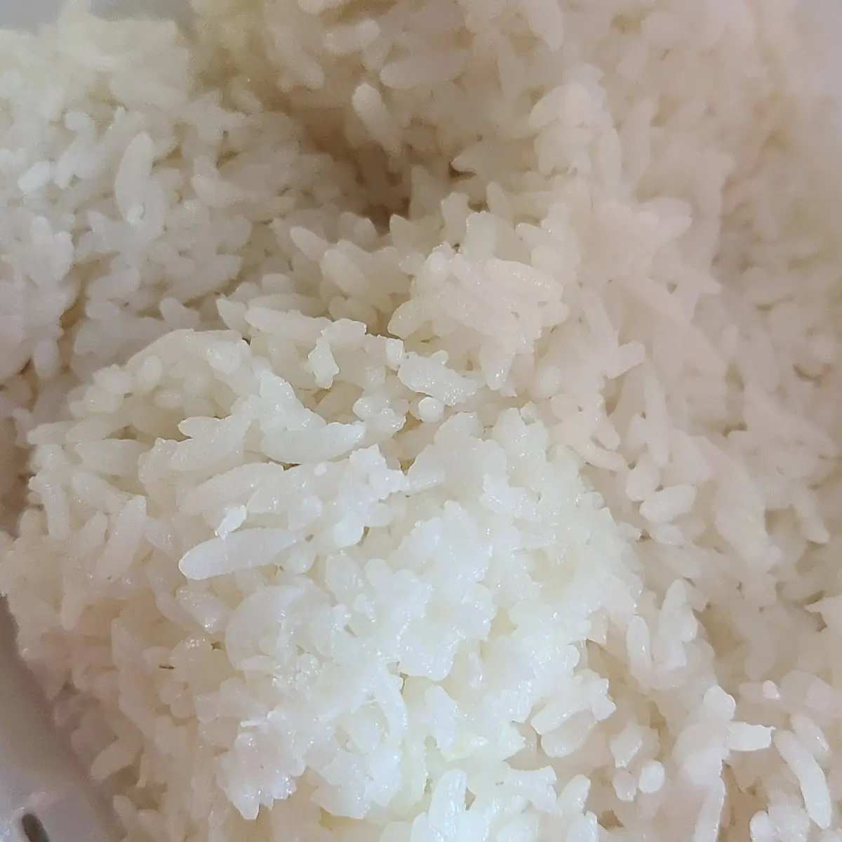White Rice
