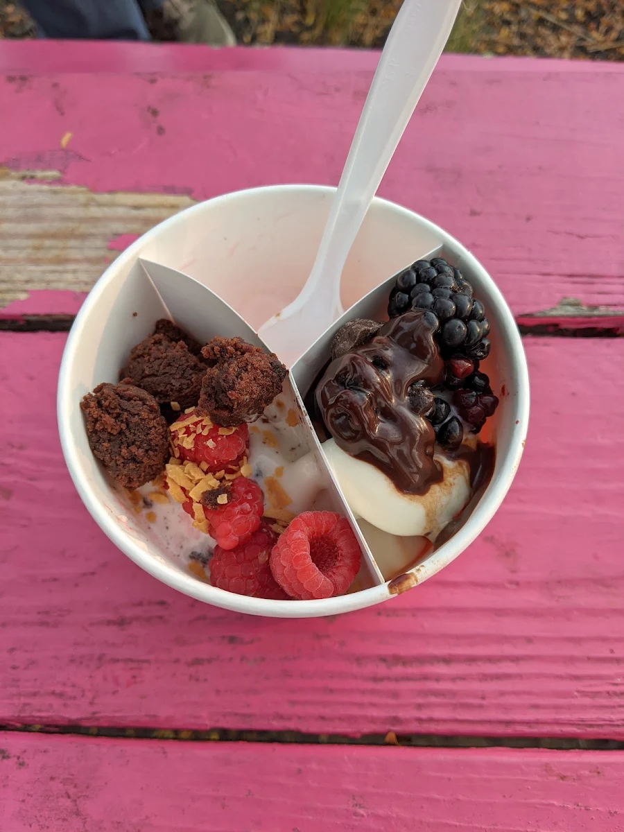 Frozen Yogurt