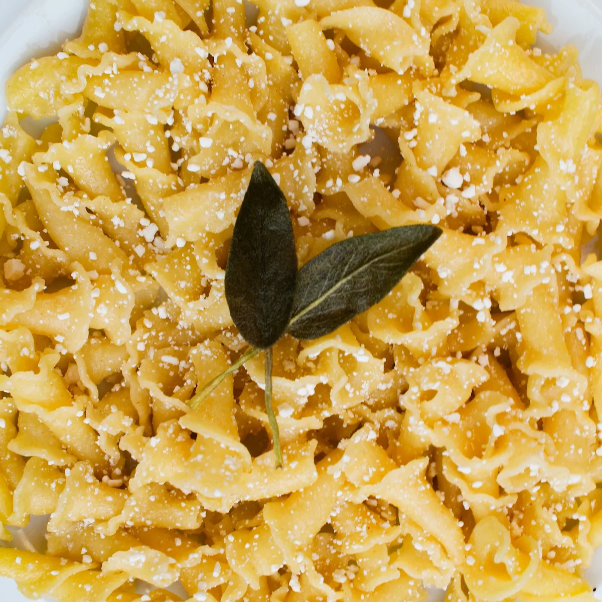 Fresh Pasta, Sundays Pasta Lab