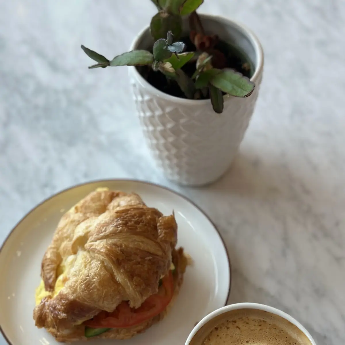 Breakfast Sandwich with Tomato