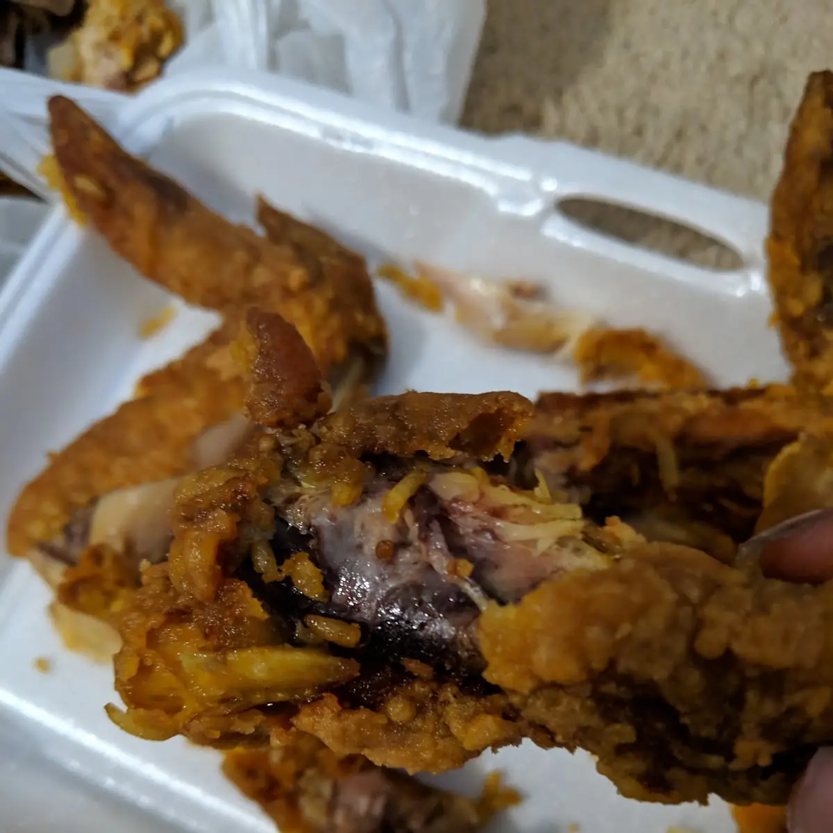 Chicken Wings and Pork Fried Rice