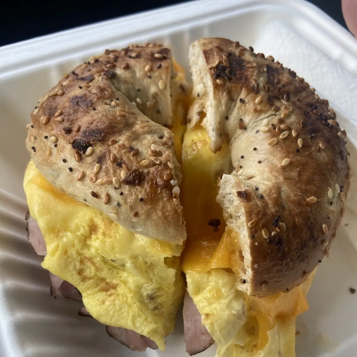 Everything Bagel Sandwich