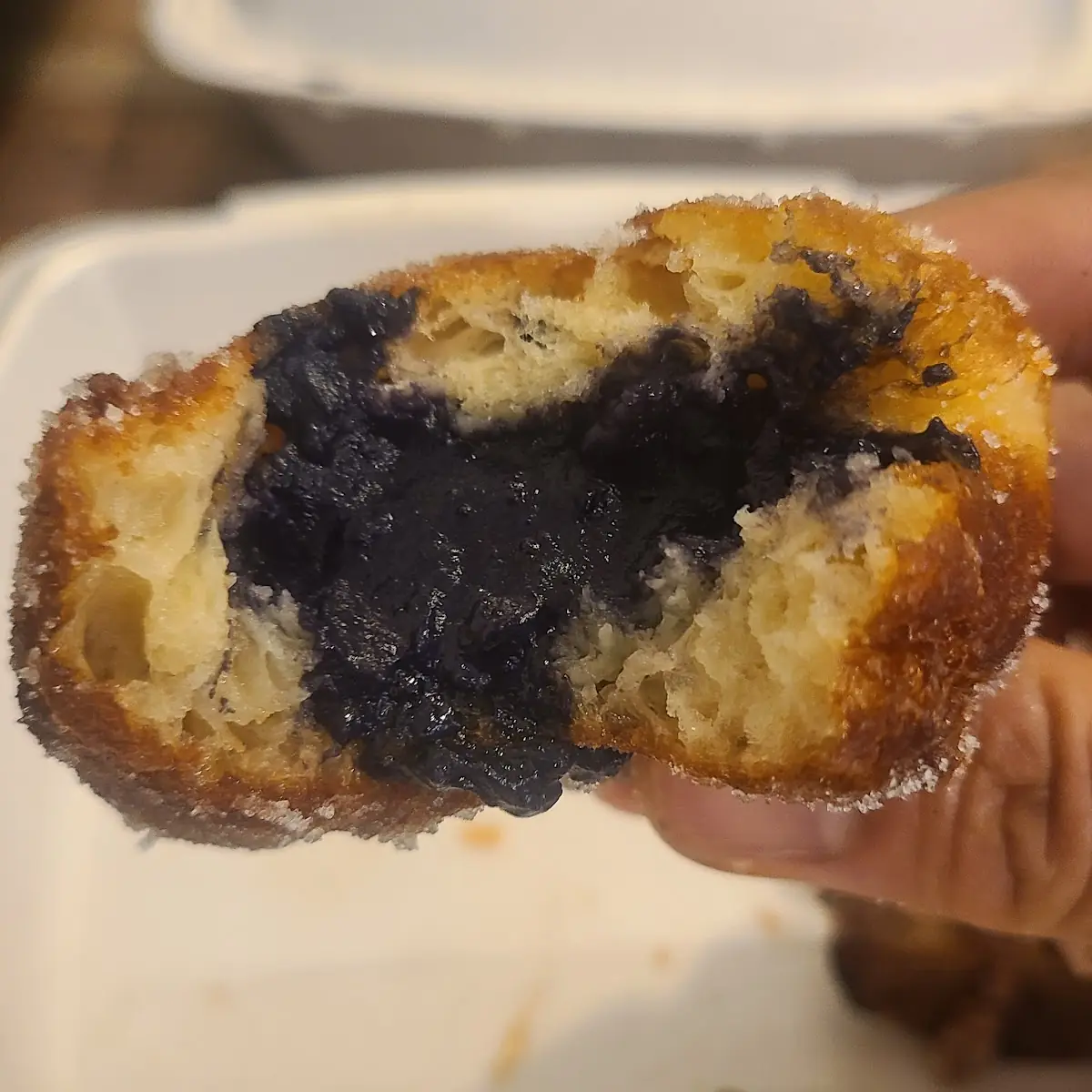 Blueberry Muffin