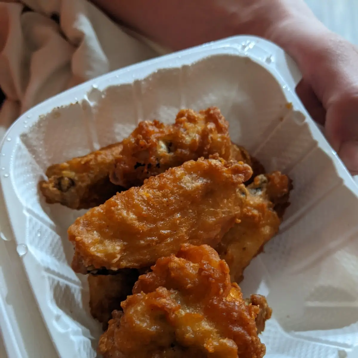 Plain Wings