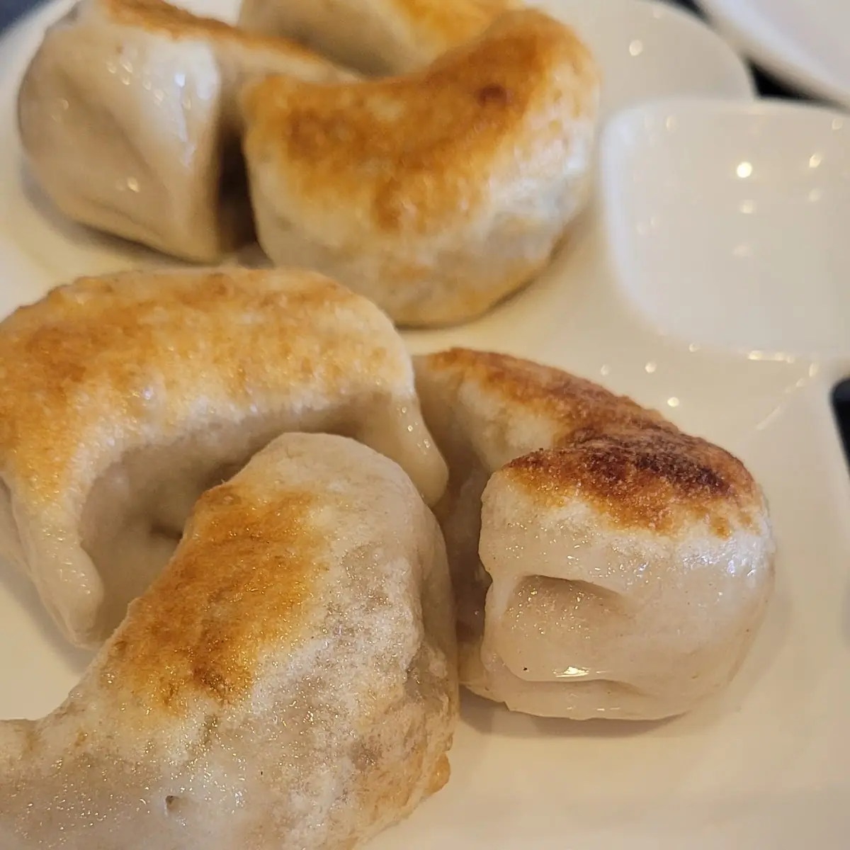Pork Fried Dumplings
