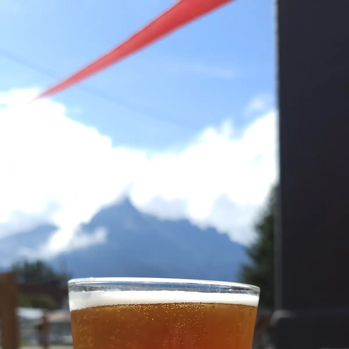 West Coast IPA