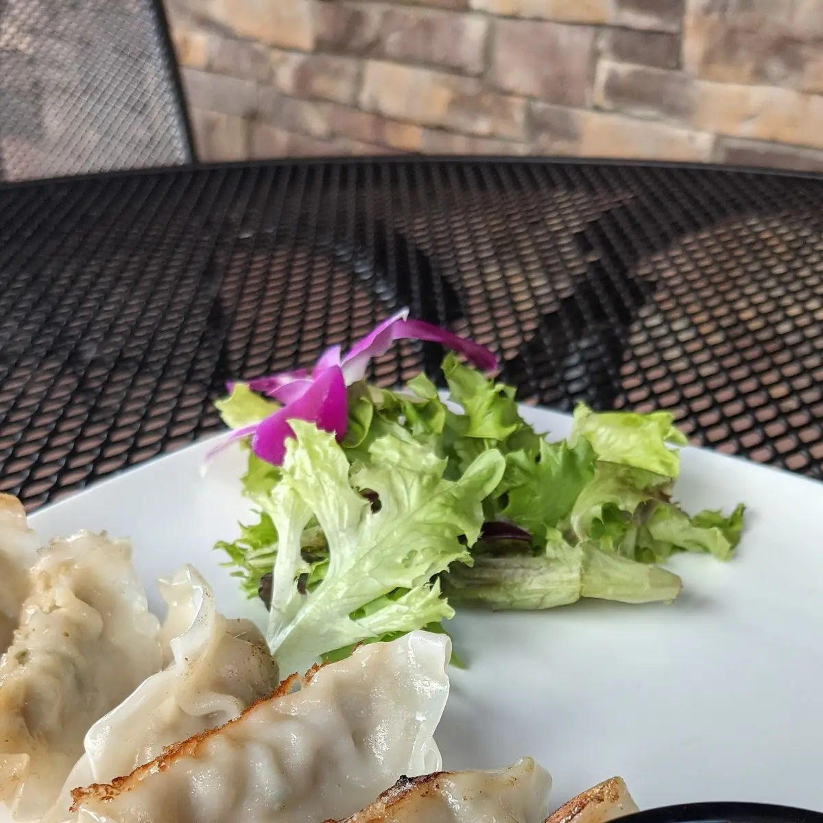 Gyoza