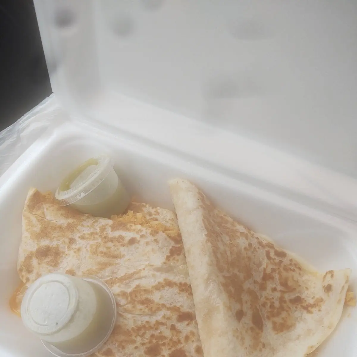 Chicken Quesadilla