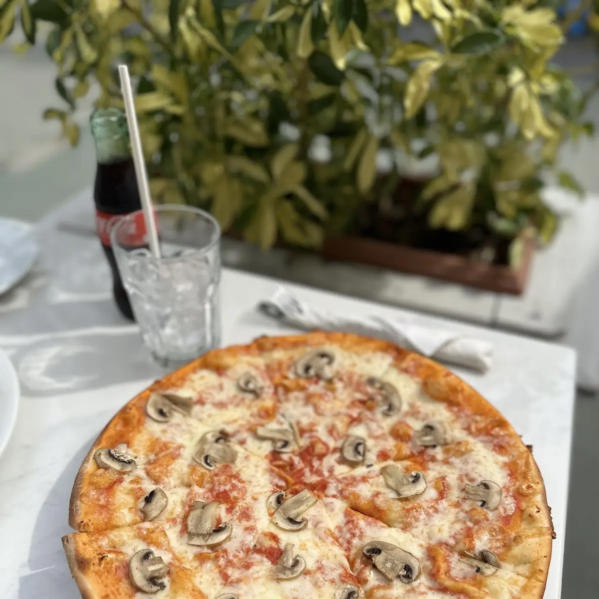 Pizza Funghi