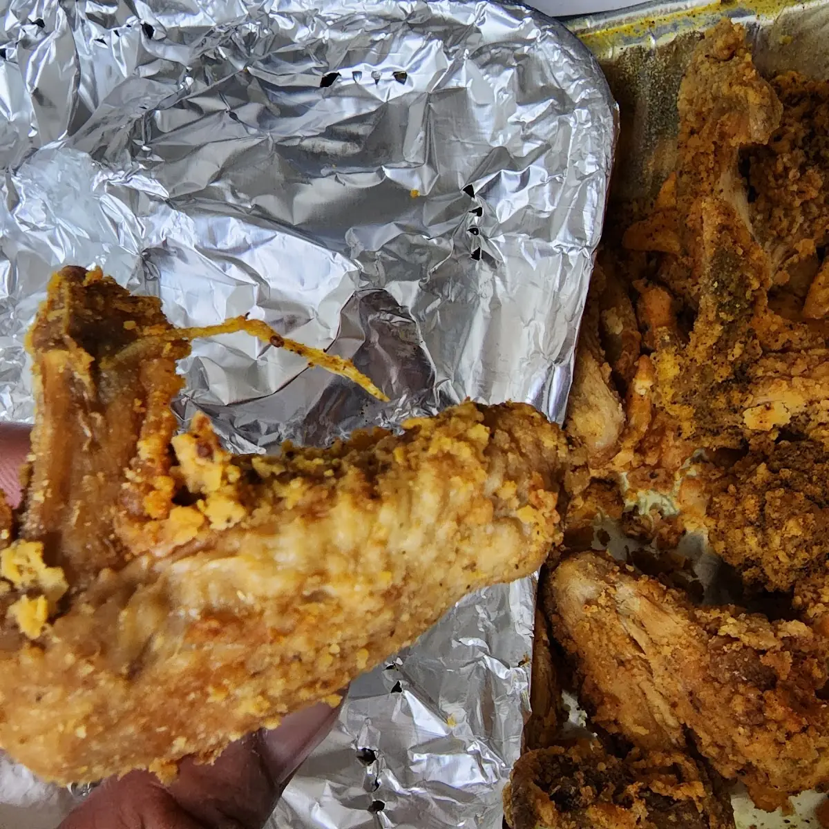 Wings with Feathers