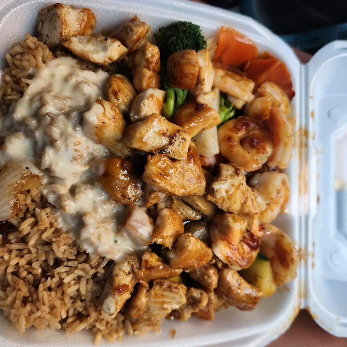 Chicken & Shrimp Fried Rice