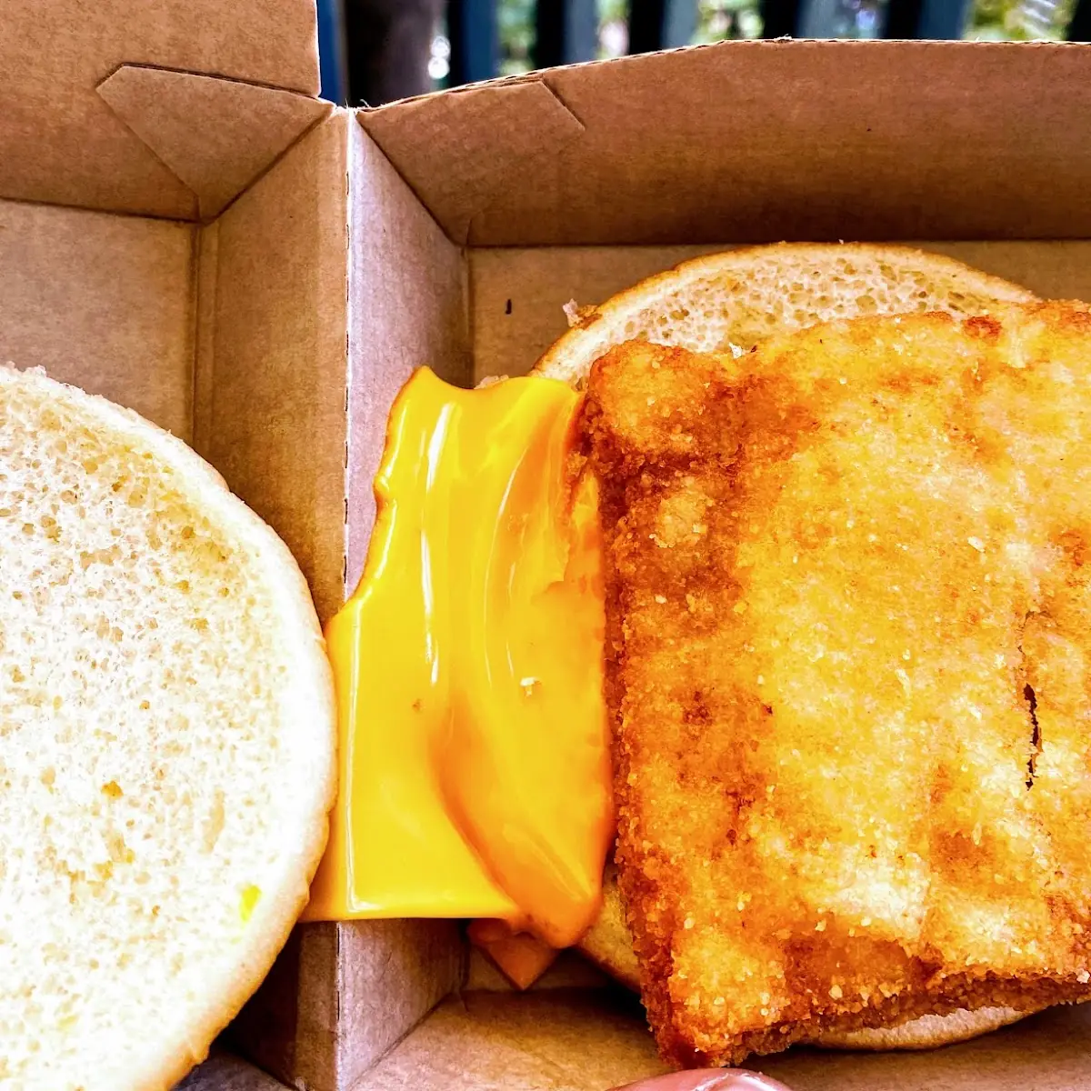 Fish Filet Cheese on the Side