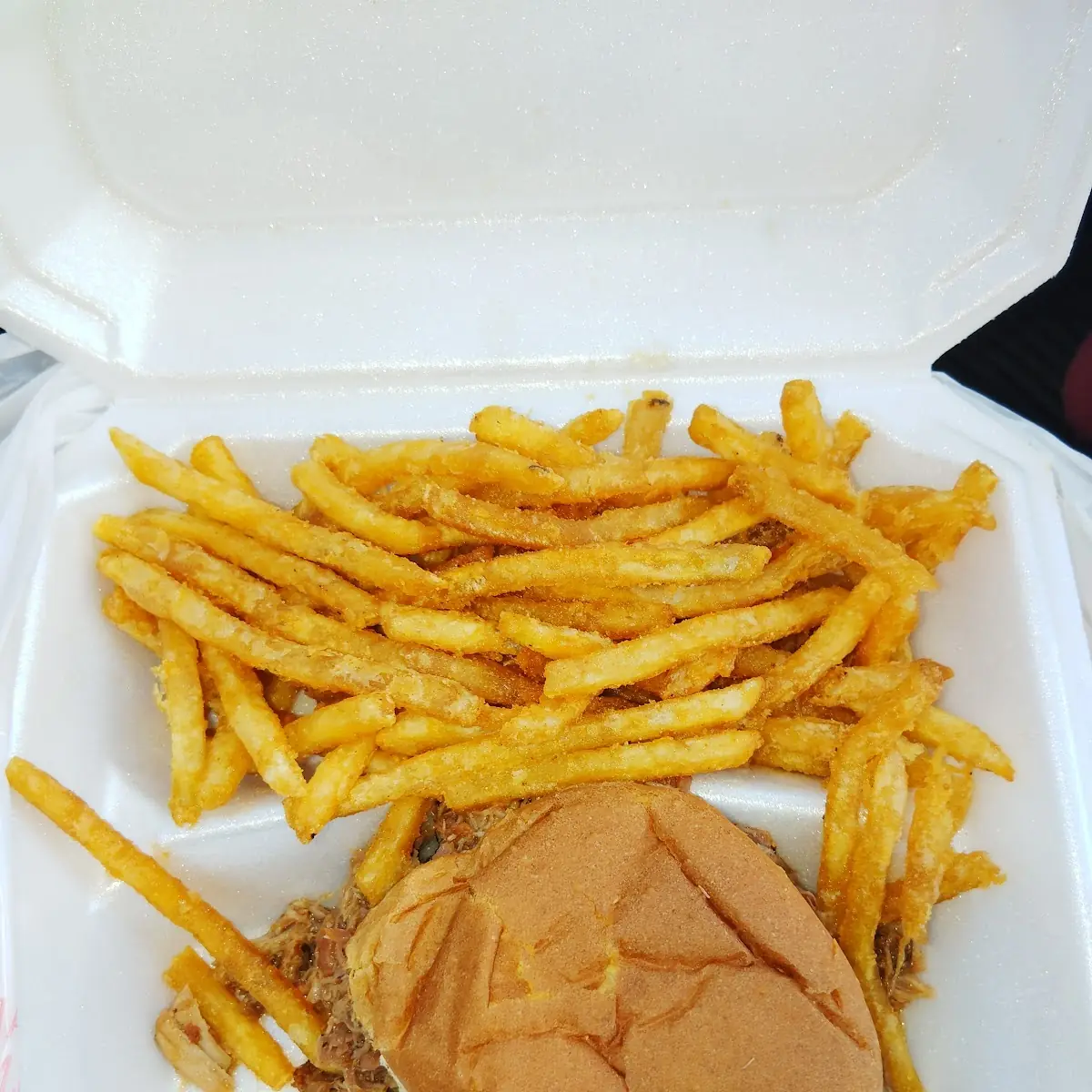 Pulled Pork Sandwich with Fries