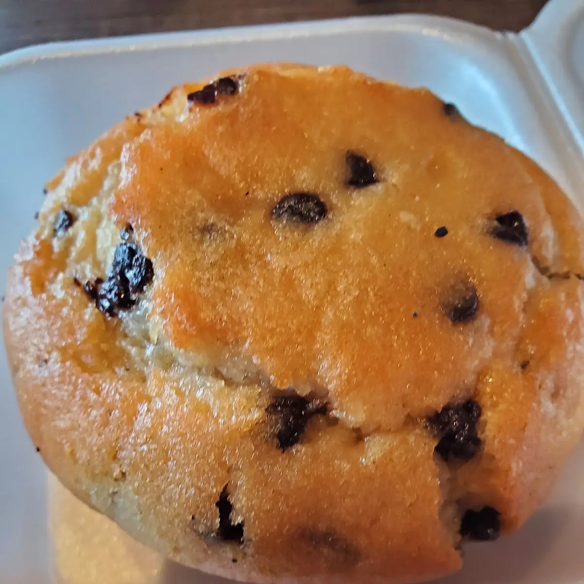 Blueberry Muffin