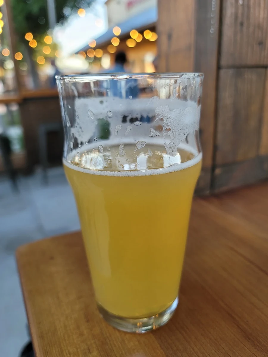 Everybody's Juicin' Hazy IPA
