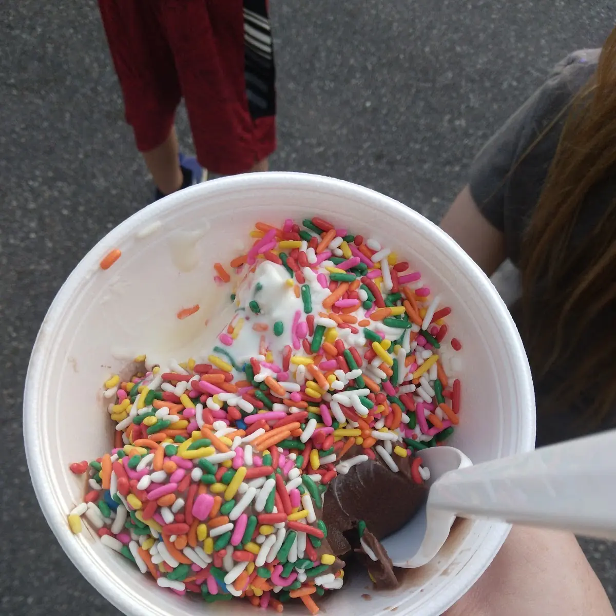 Dog Sundae