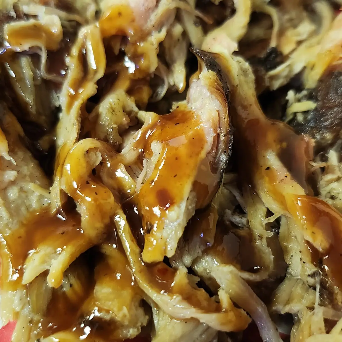 Rock's Pulled Pork w Sauce
