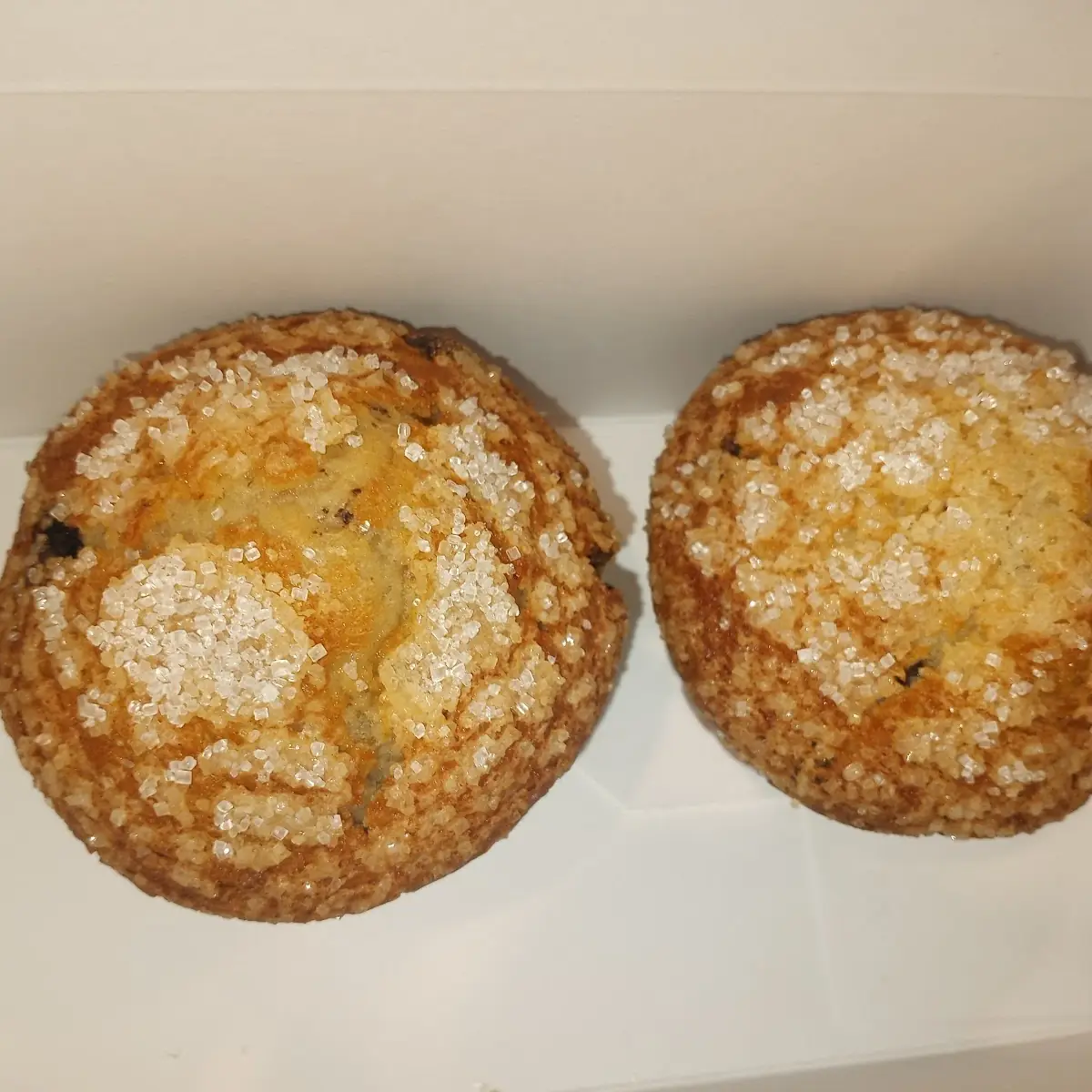 Blueberry Muffin