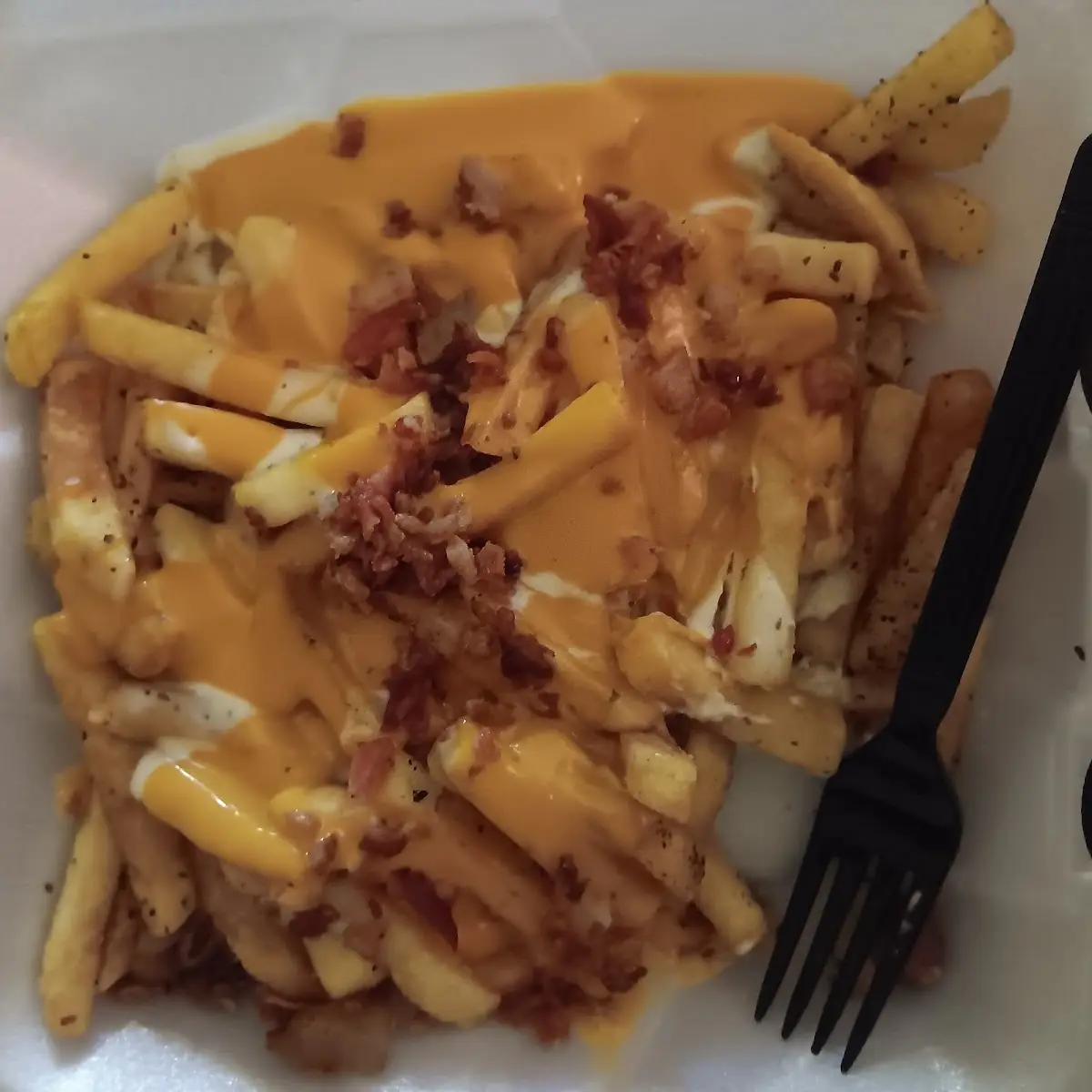 Cheese Fries with Bacon
