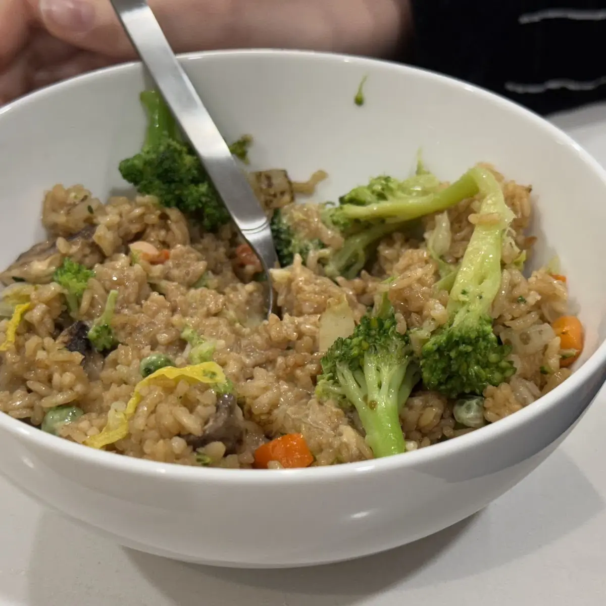 Vegetable Fried Rice