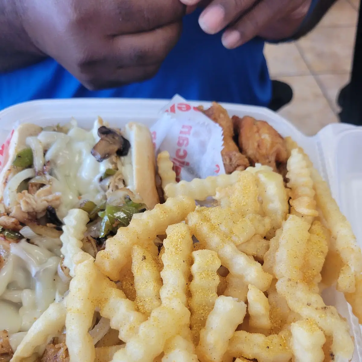 Philly Cheese Steak and Fries