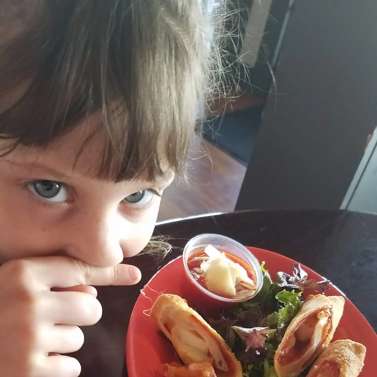 Southwest Chicken Spring Rolls