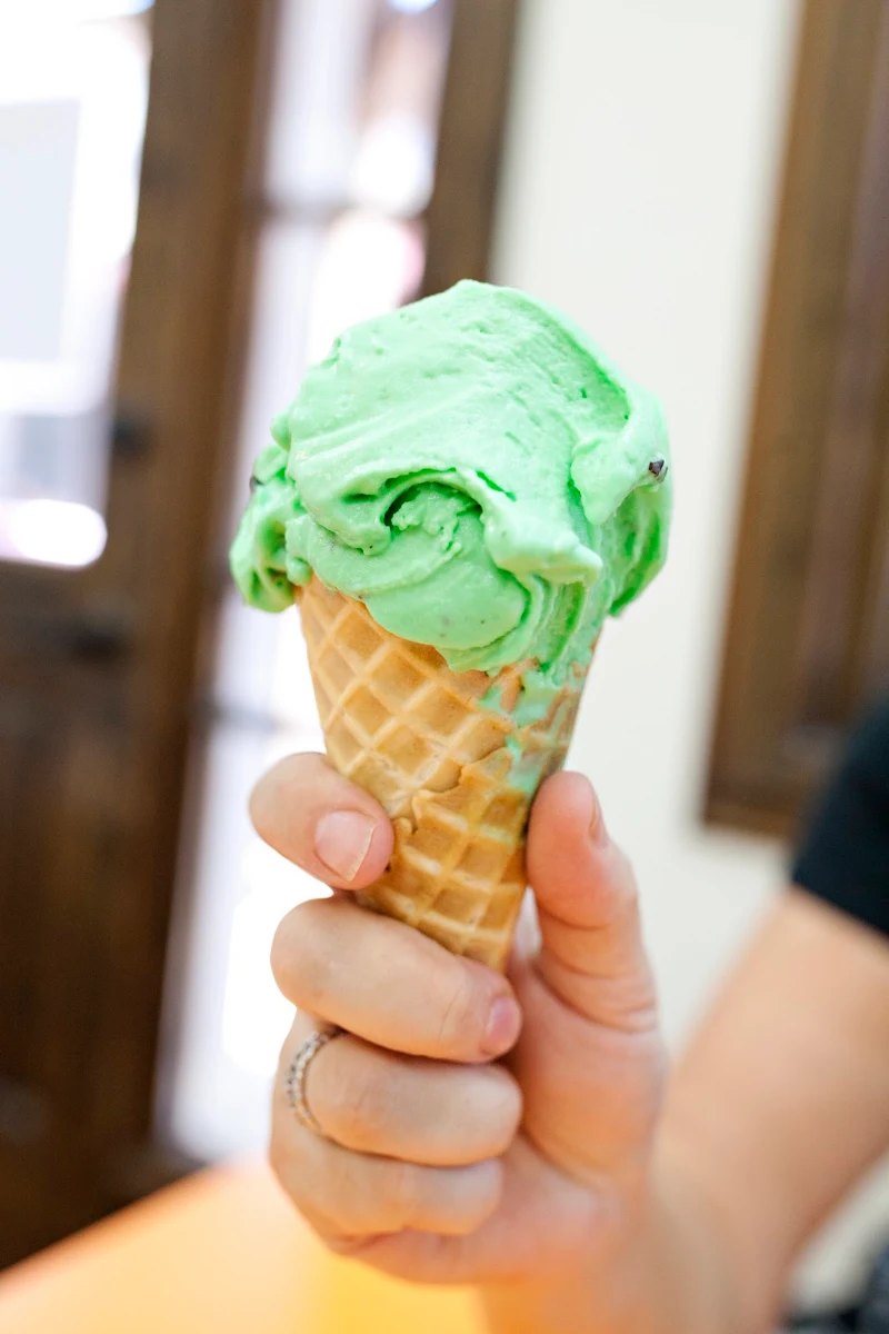 Chocolate Chip Mint