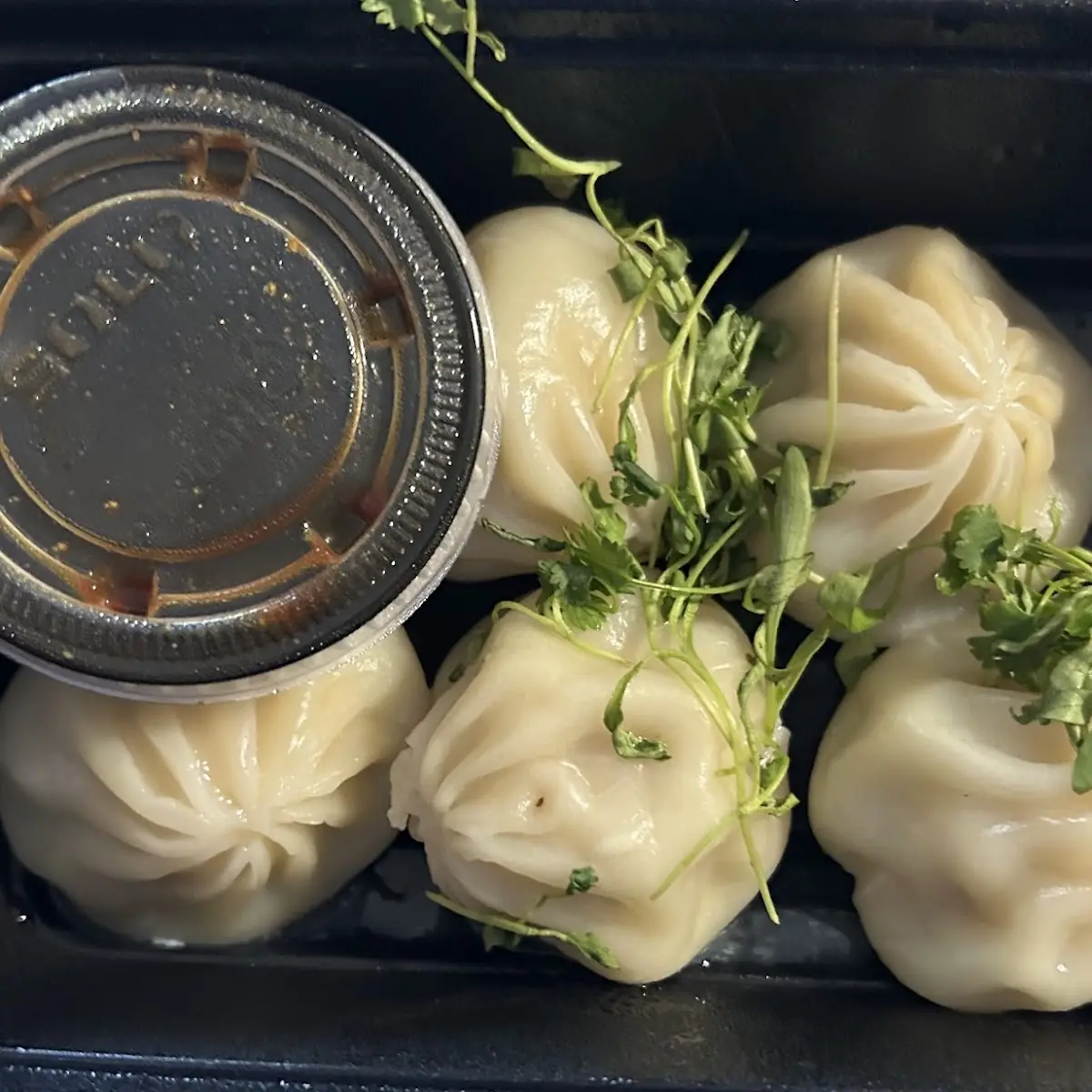 Chicken Soup Dumplings