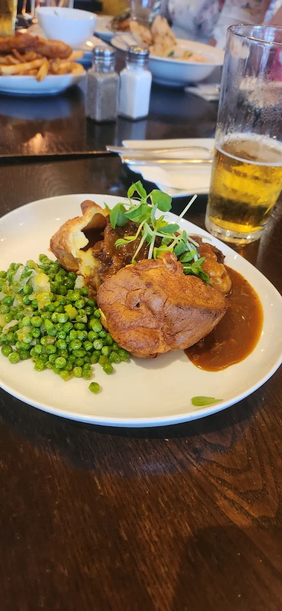 Yorkie Bowl