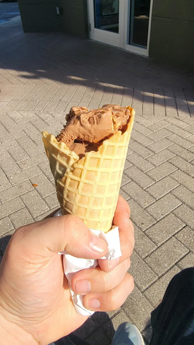 Peanut Butter Cup