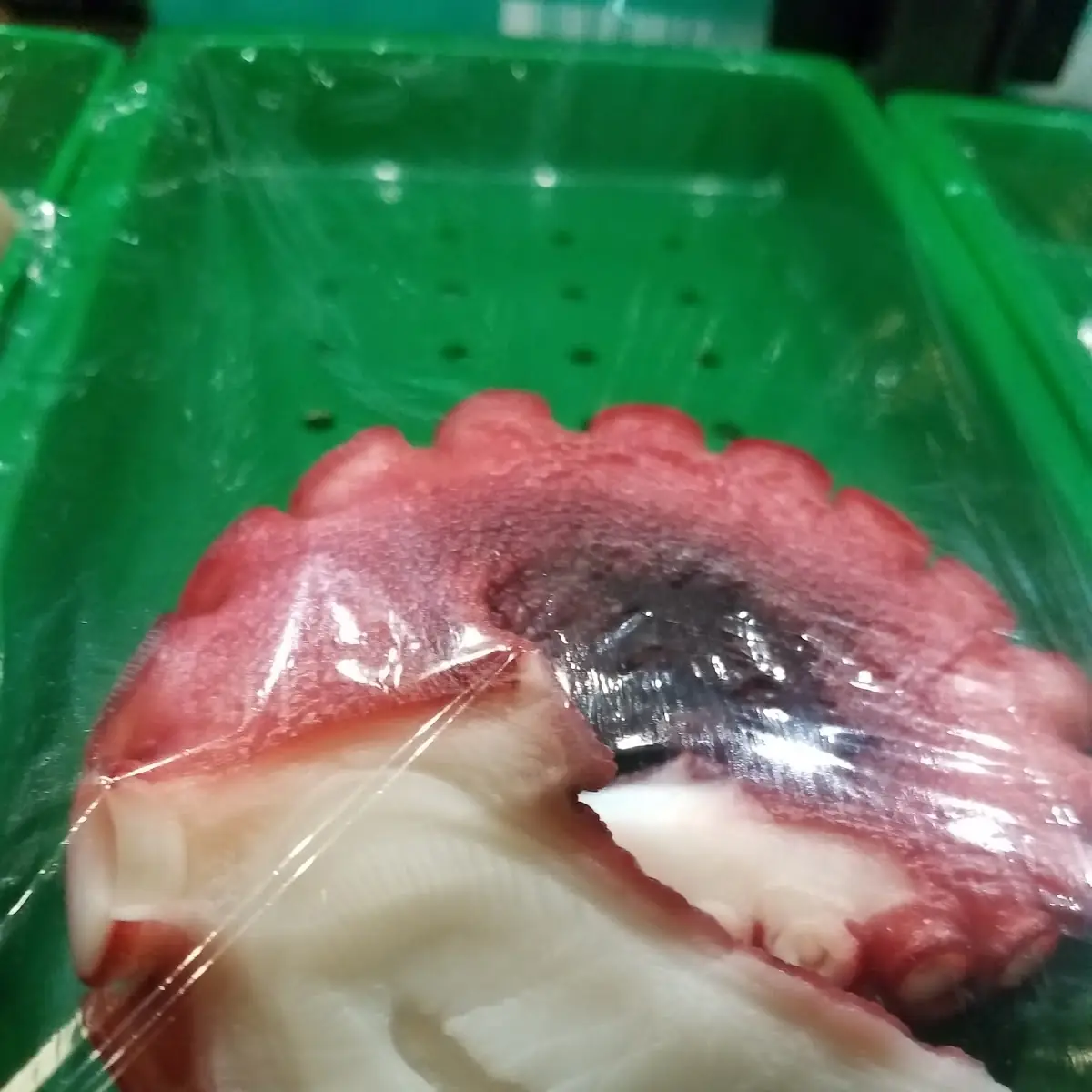Tako Octopus