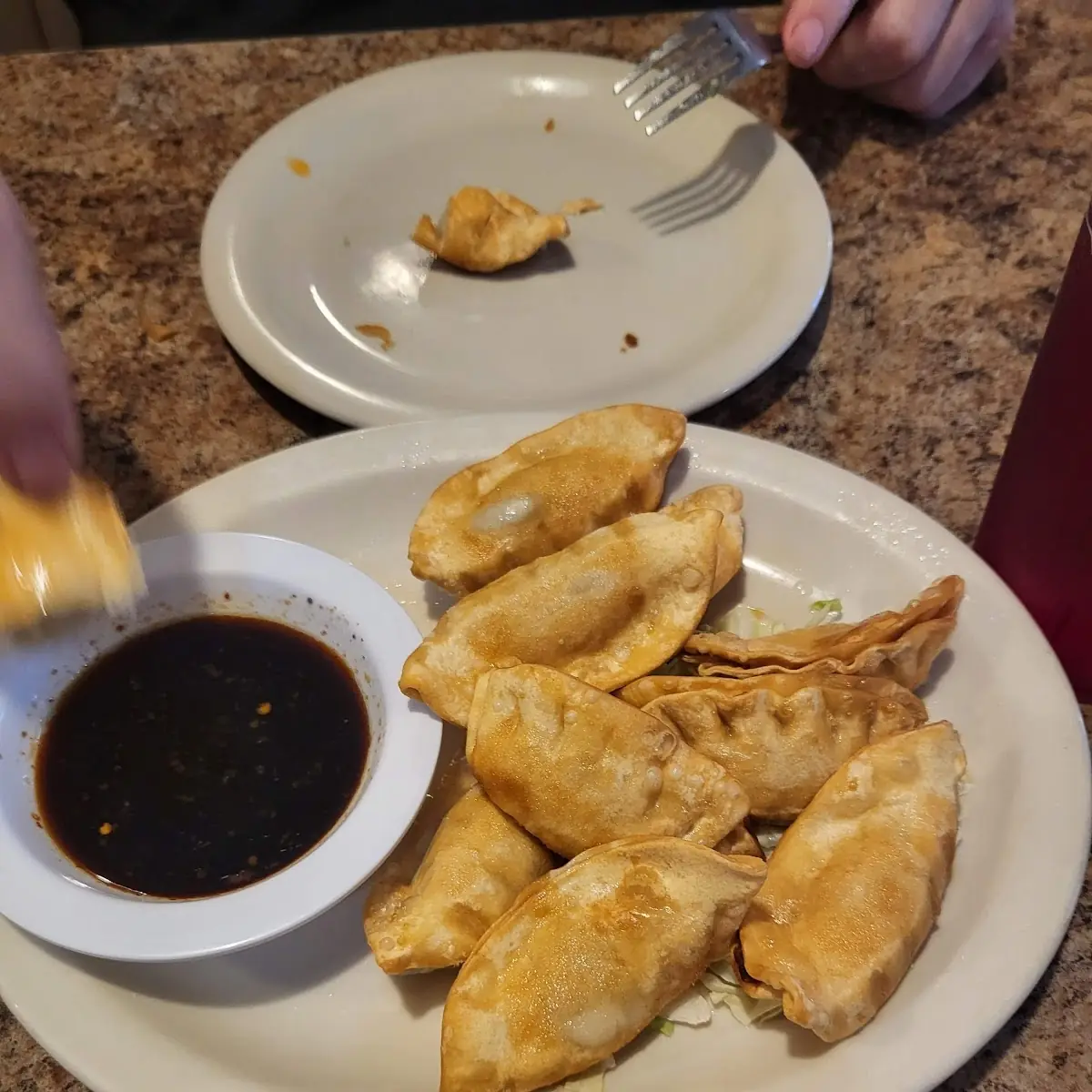 Pot Stickers
