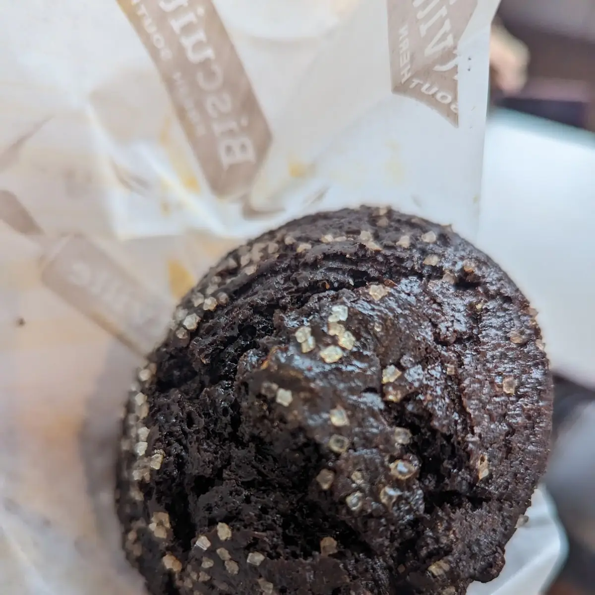 Double Chocolate Muffin