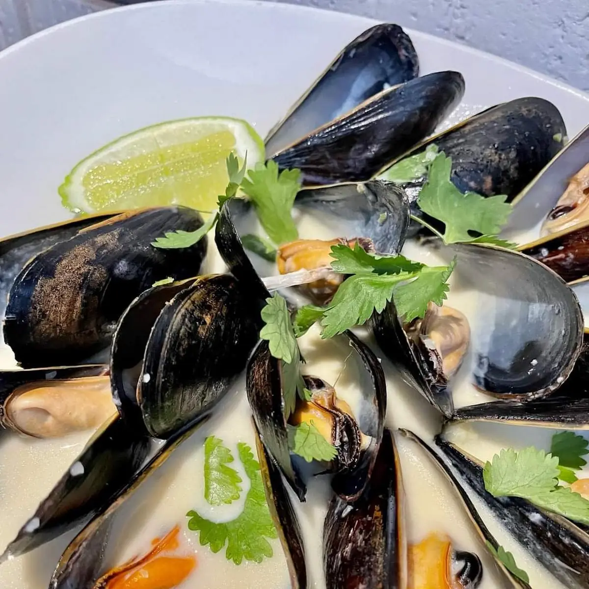 Drunken Mussels