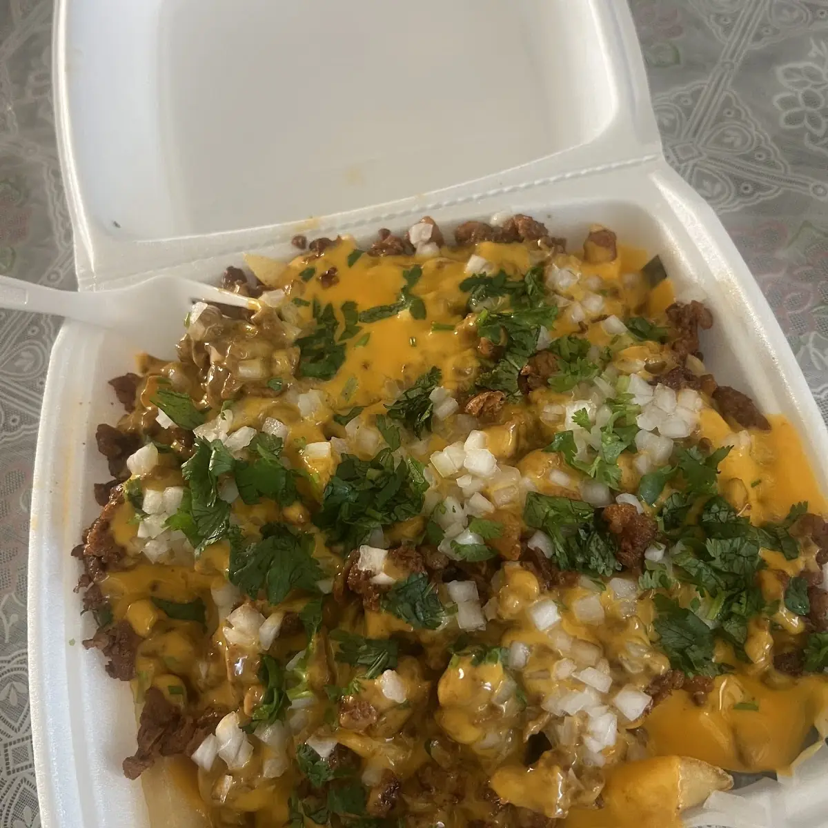 Carne Asada Fries