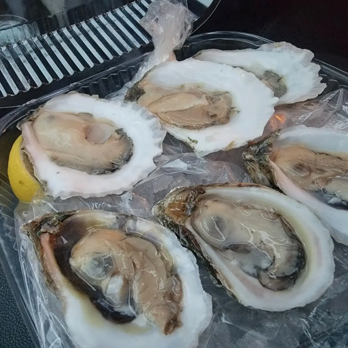 Raw Oysters
