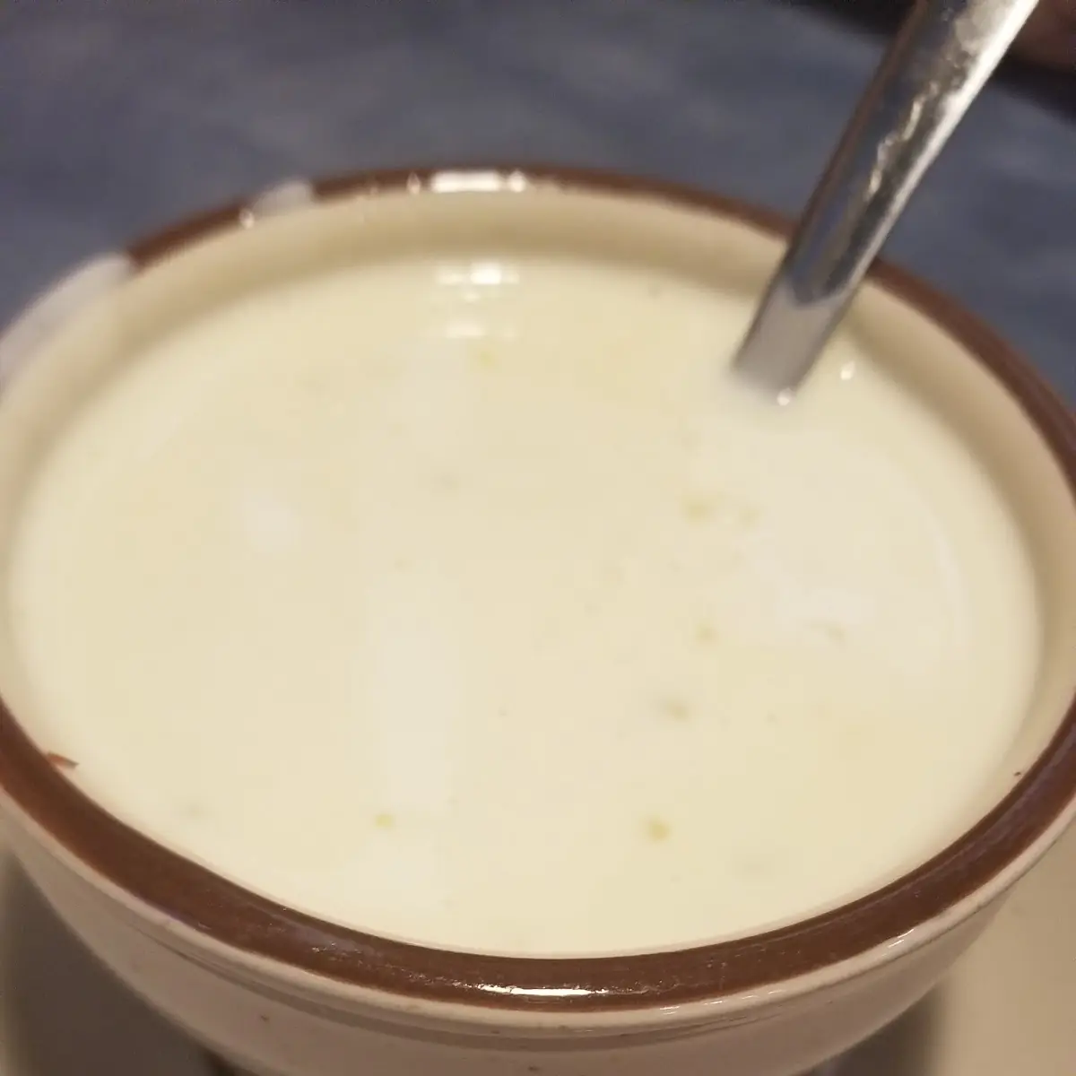 Cheese Dip