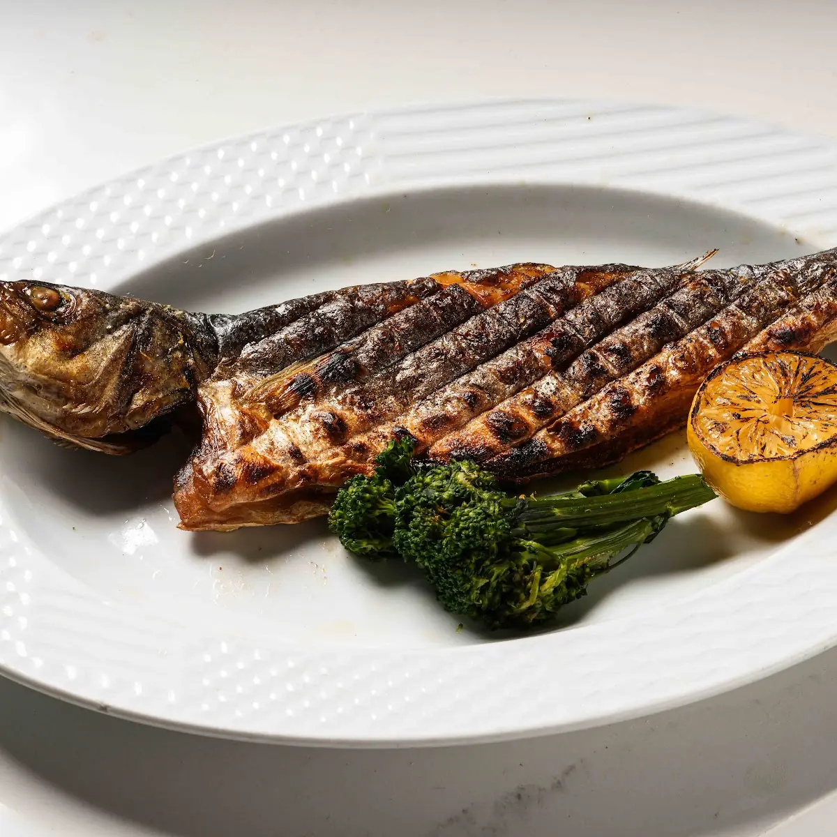 Char-Grilled Fillet Bronzino