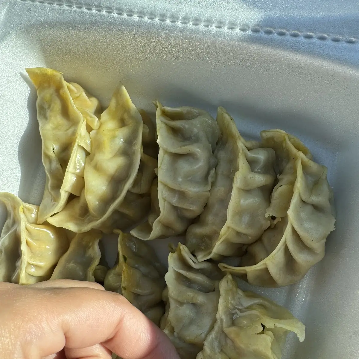 Steamed Dumplings