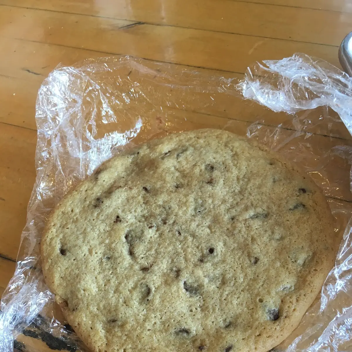Chocolate Chip Cookie