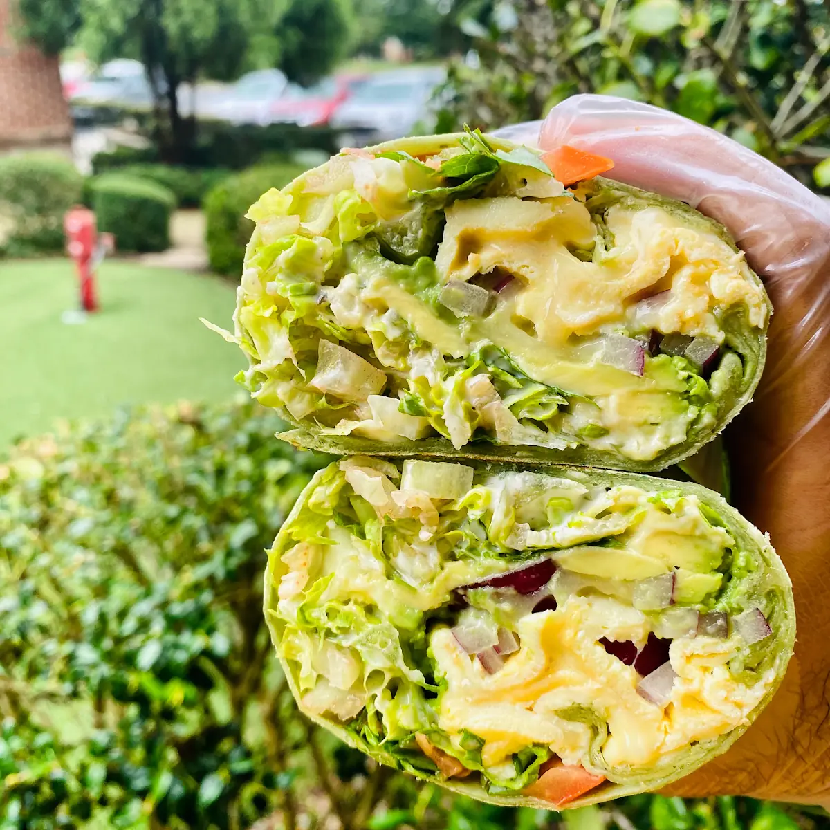 Chicken Caesar Wrap