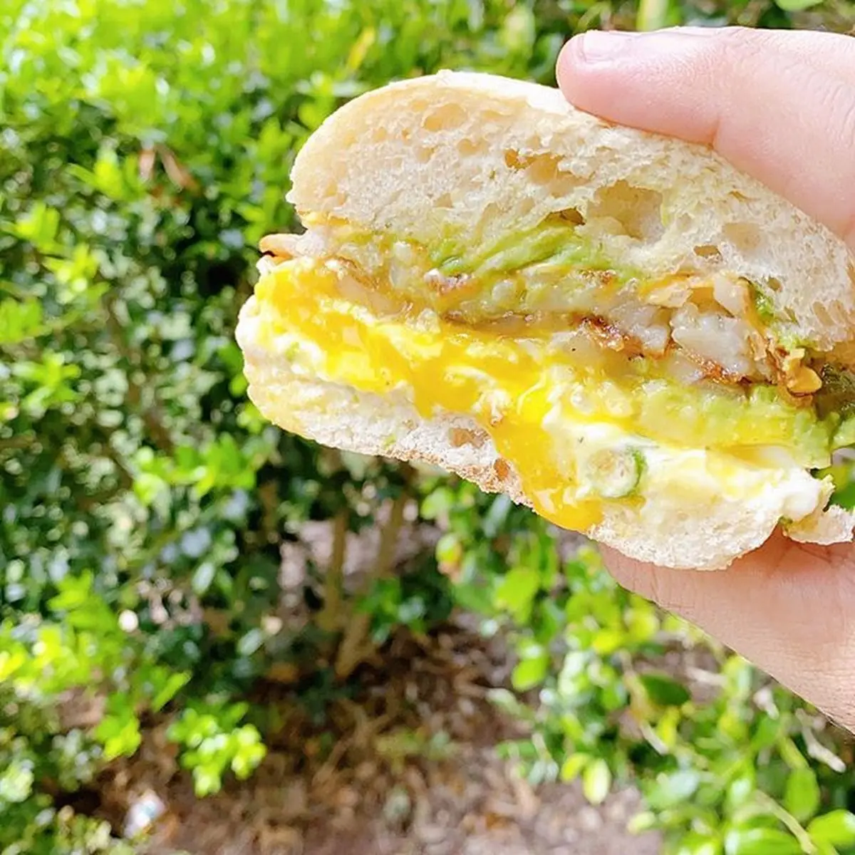 Egg & Cheese