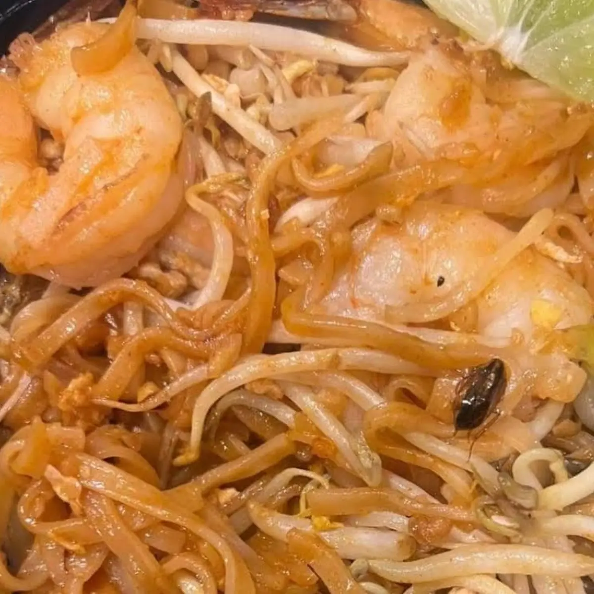 Pad Cha