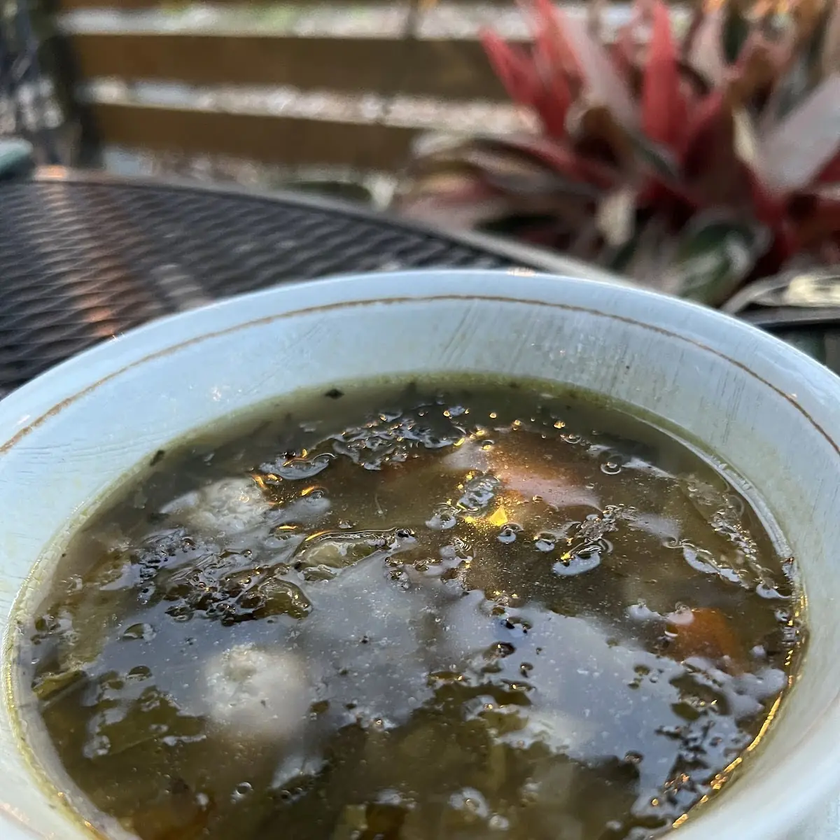 Turtle Soup