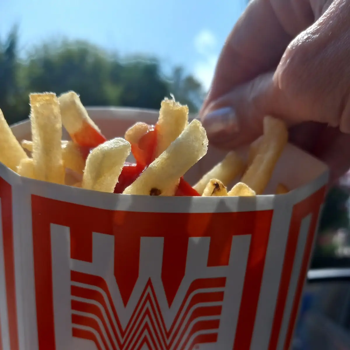 Frech Fries Spicy Ketchup