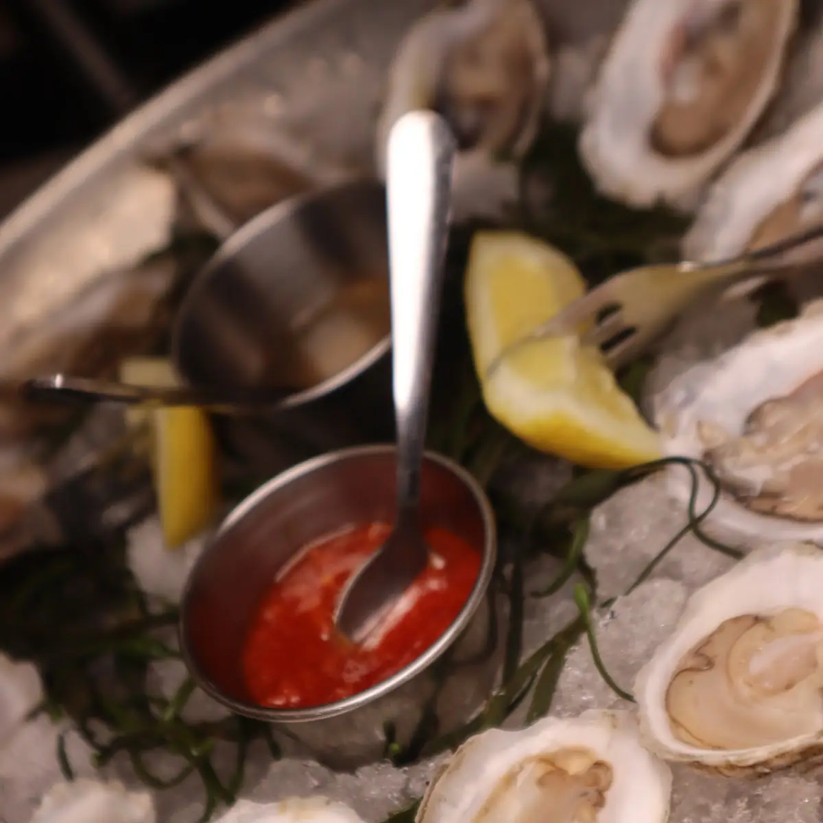 Fresh Oysters Served