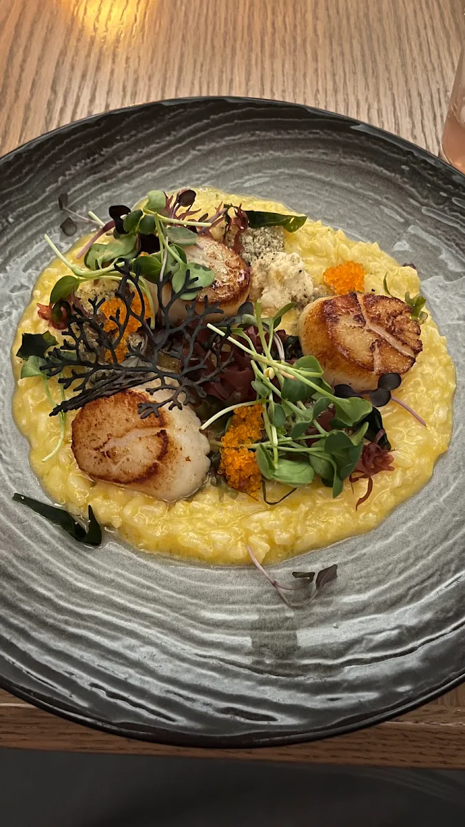 Scallop Risotto, Fathom