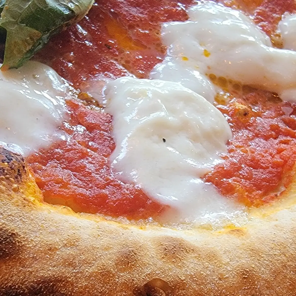 Pizza Caprese